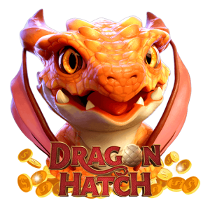 dragon hatch